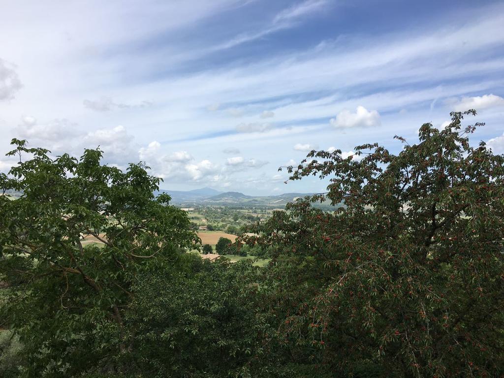 Agriturismo Podere Pescara أورفييتو المظهر الخارجي الصورة